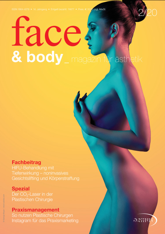 Cover Image for Issue