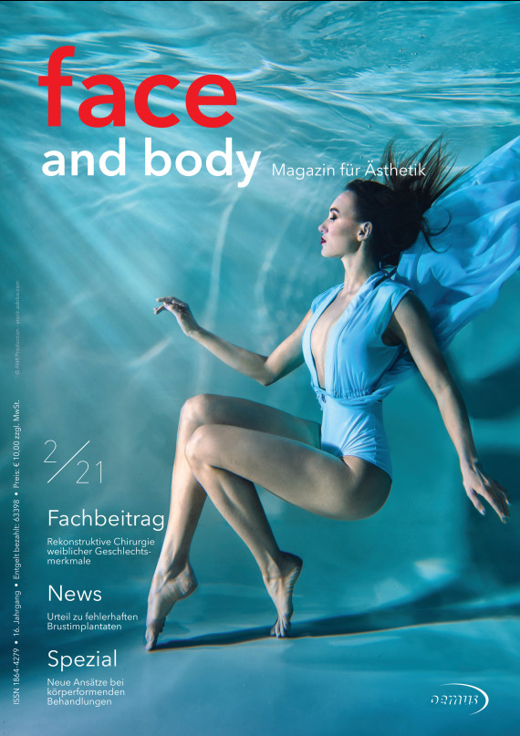 Cover Image for Issue