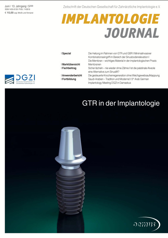 Cover Image for Issue