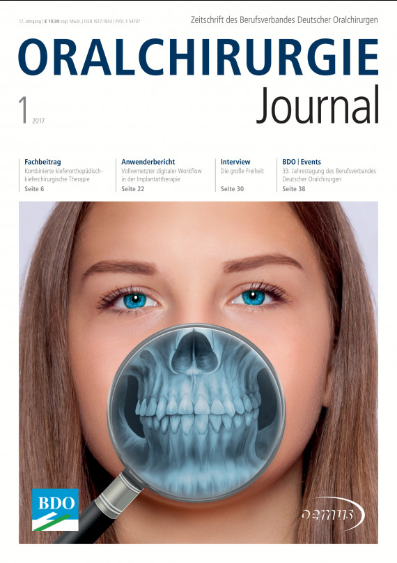 Cover Image for Issue