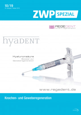 Cover Image for Issue