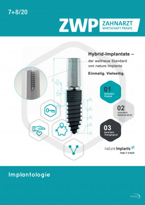 Cover Image for Issue