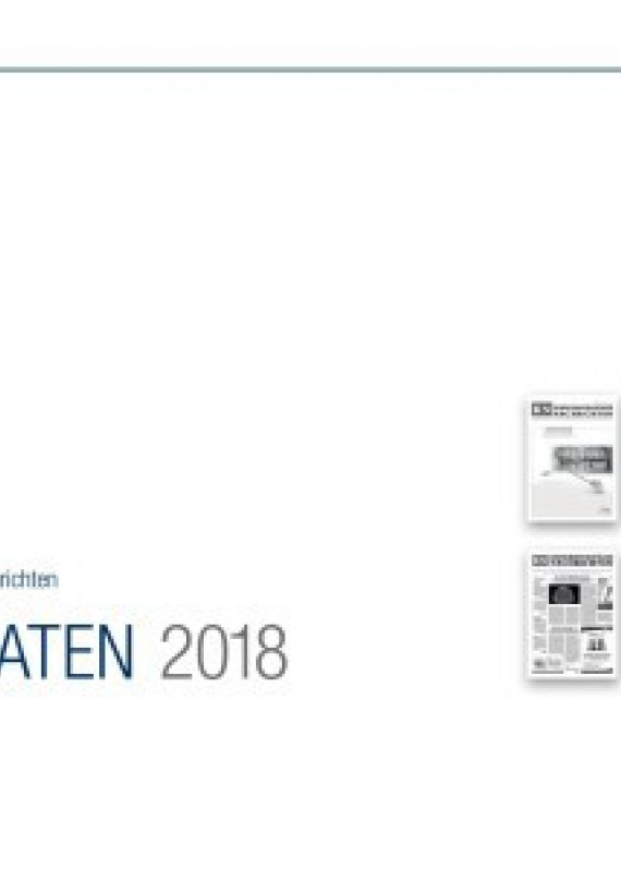 Mediadaten Berufspolitik 2018