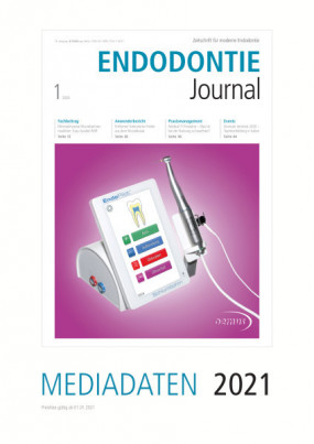 Cover Image for Issue