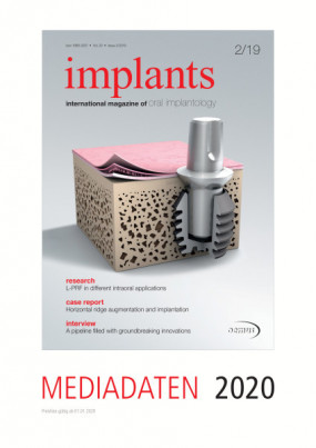 Cover Image for Issue