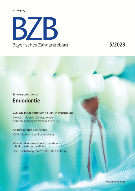 Cover Image for Issue