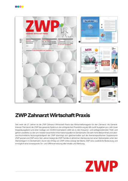Publication Image for Mediadaten ZWP