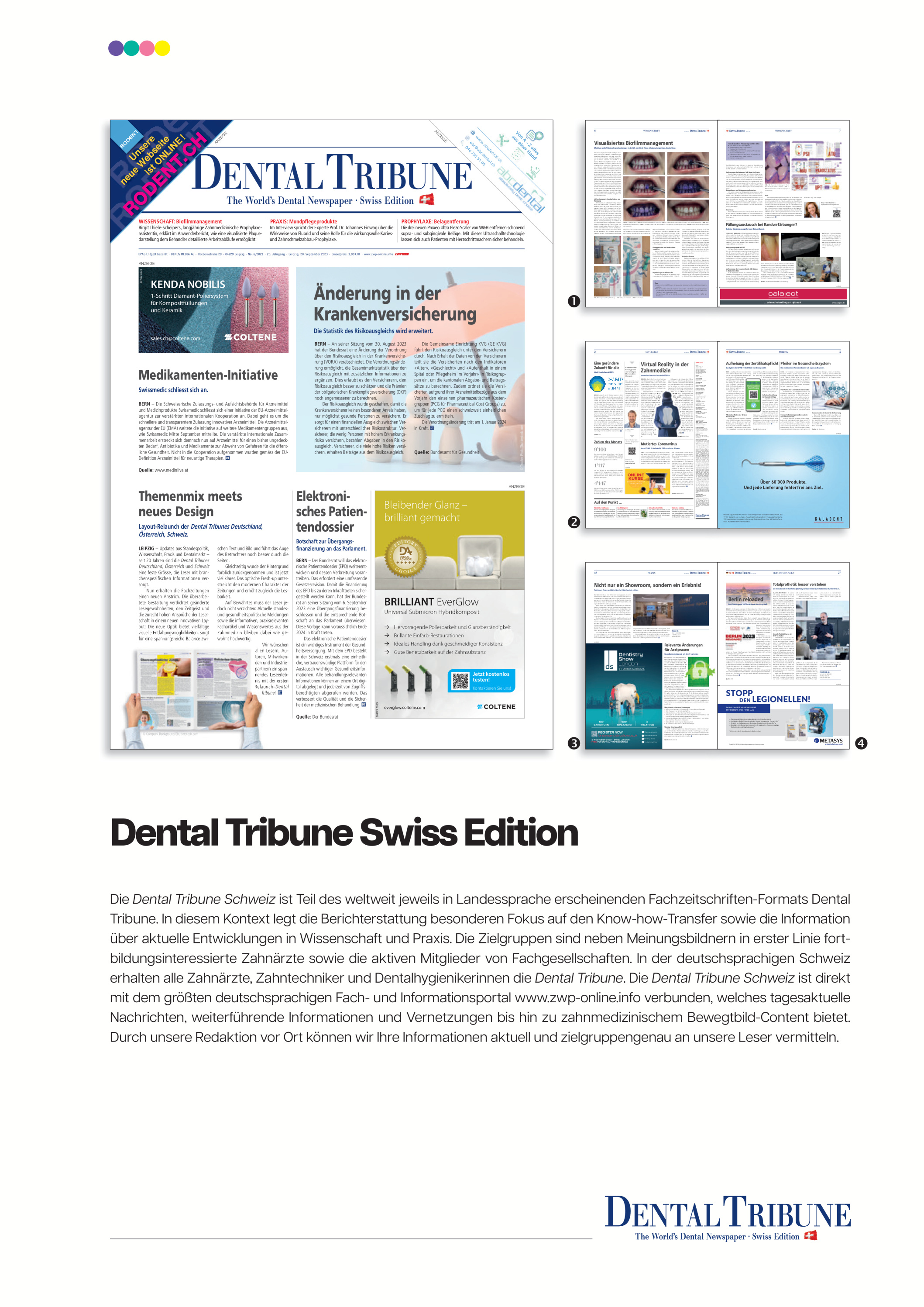 Cover Image for Issue in landscape