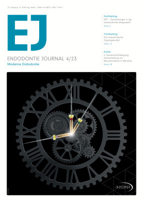 Cover Image for Issue