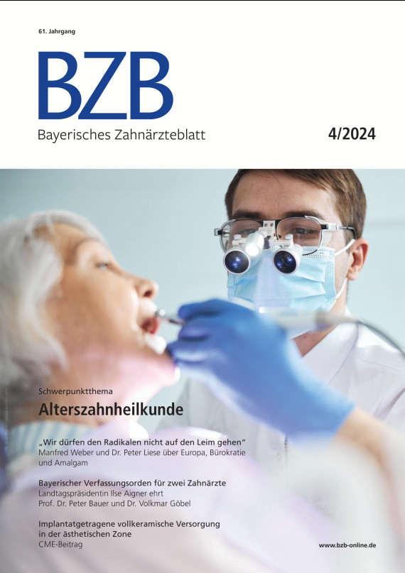 Cover Image for Issue