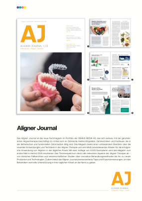 Cover Image for Issue