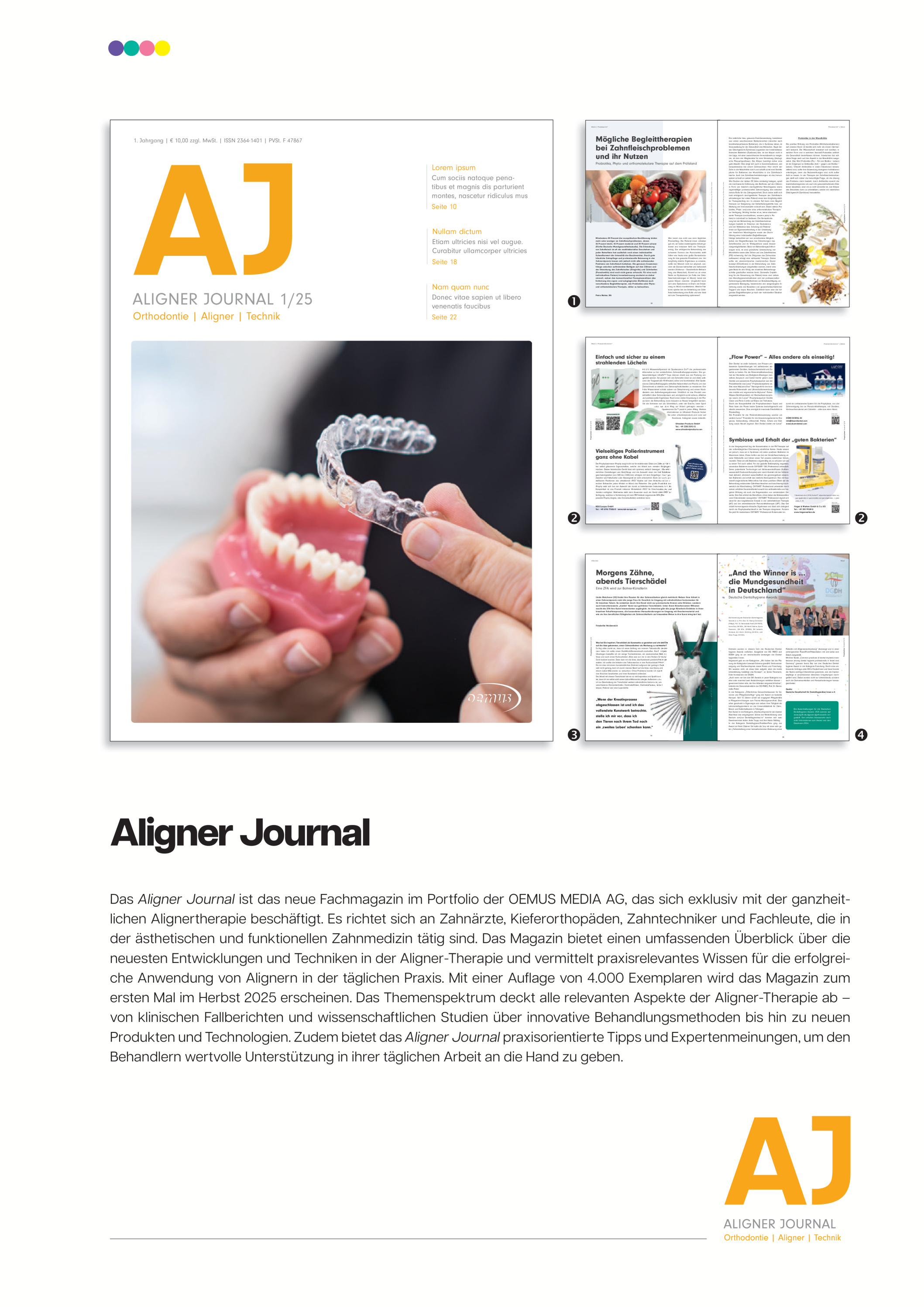 Cover Image for Issue in landscape