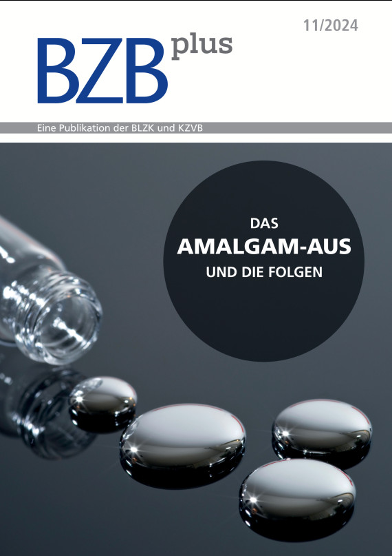 cover zu BZBP 11/2024