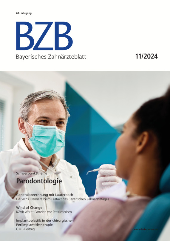 cover zu BZB 11/2024