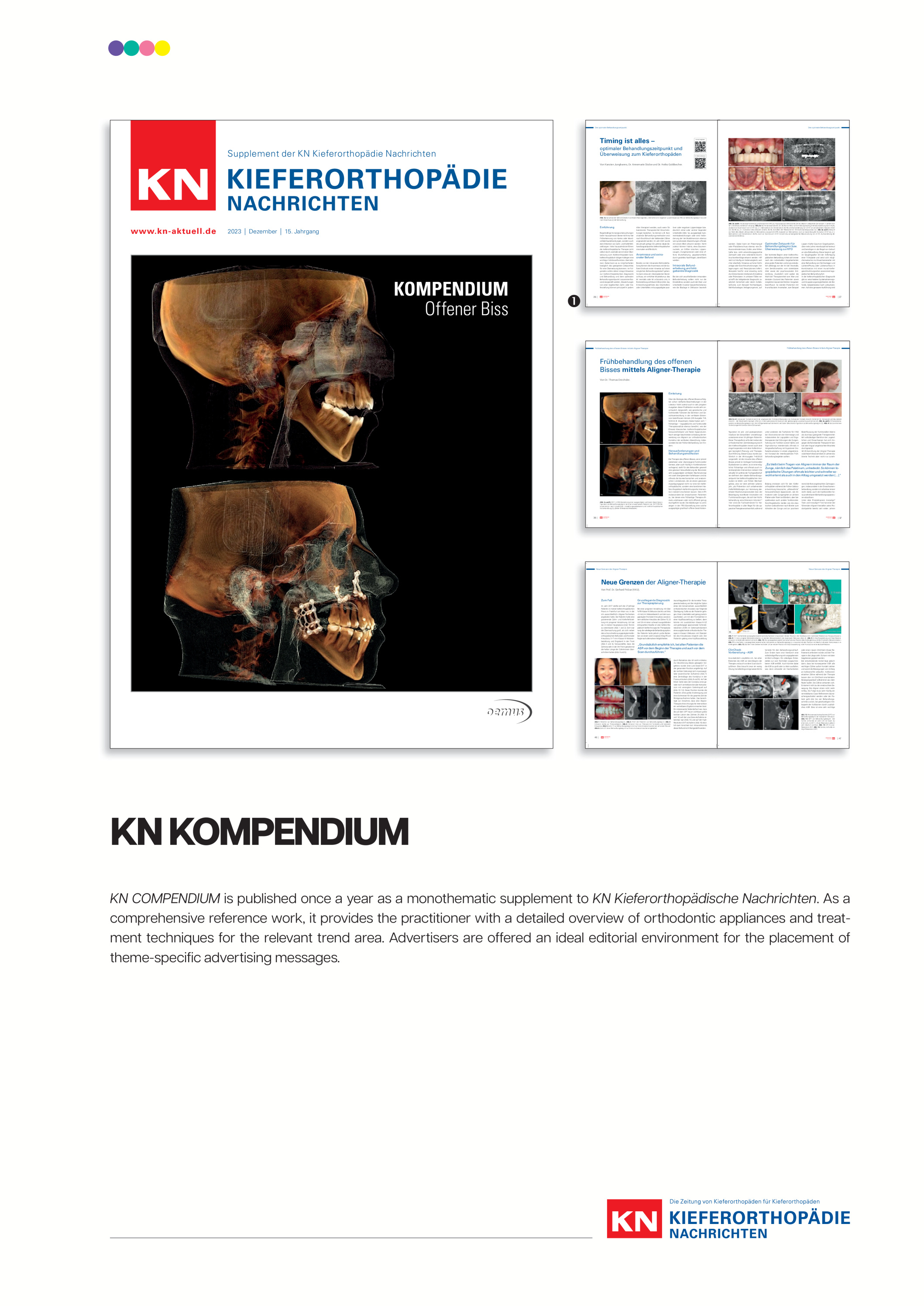 Cover Image for Issue in landscape