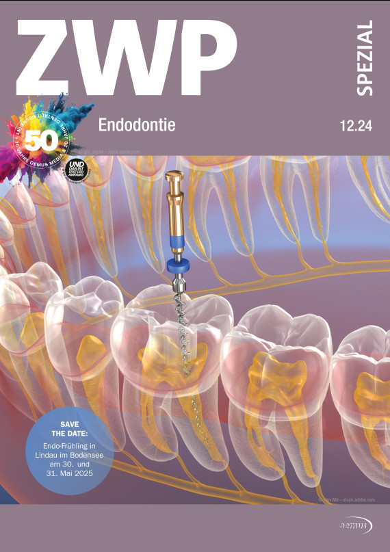 Cover Image for Issue