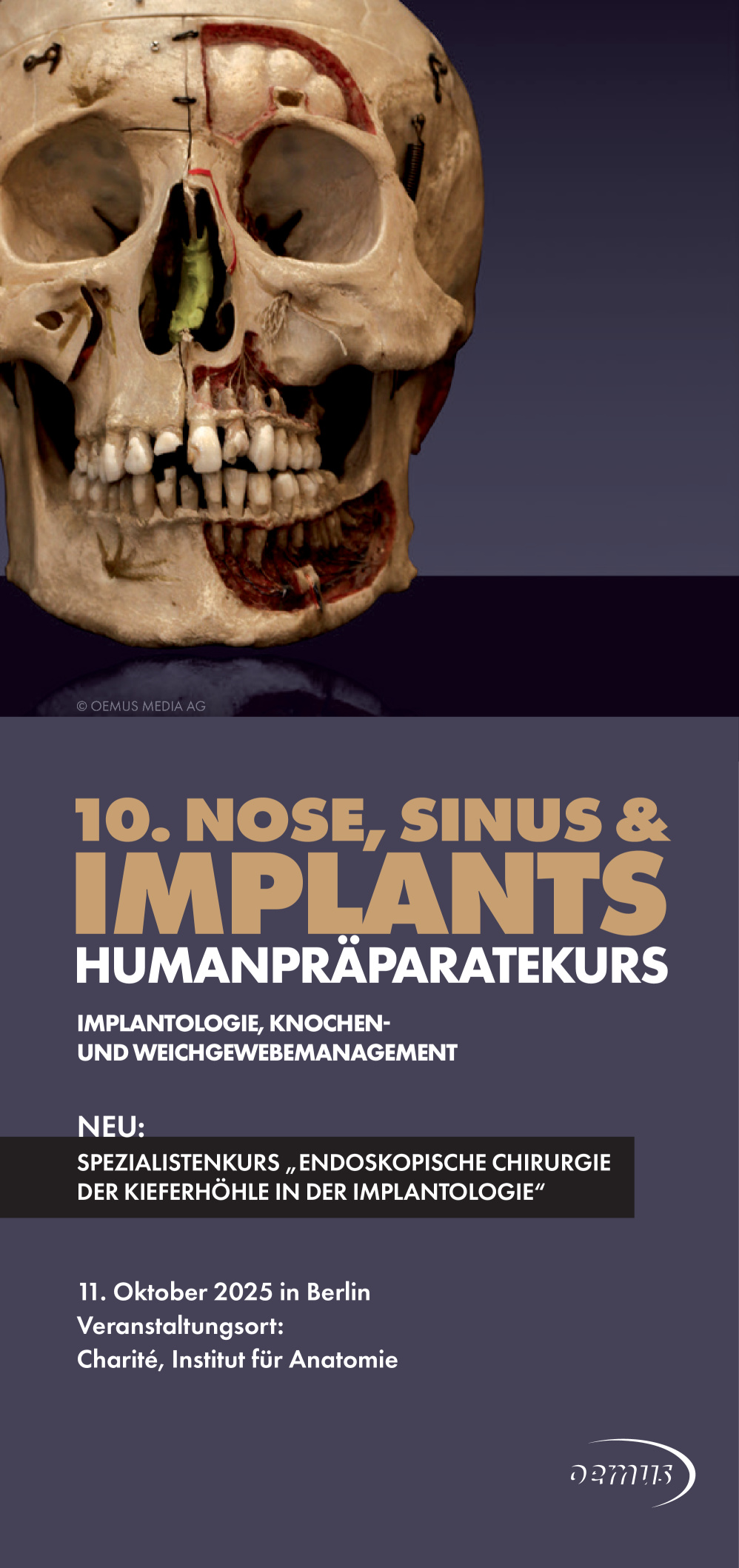 Cover Image for Issue in landscape