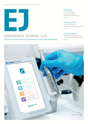 Cover Image for Issue