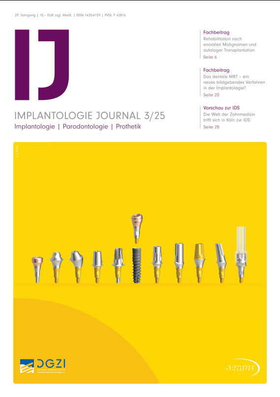 Cover Image for Issue