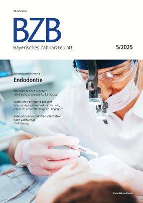 Cover Image for Issue