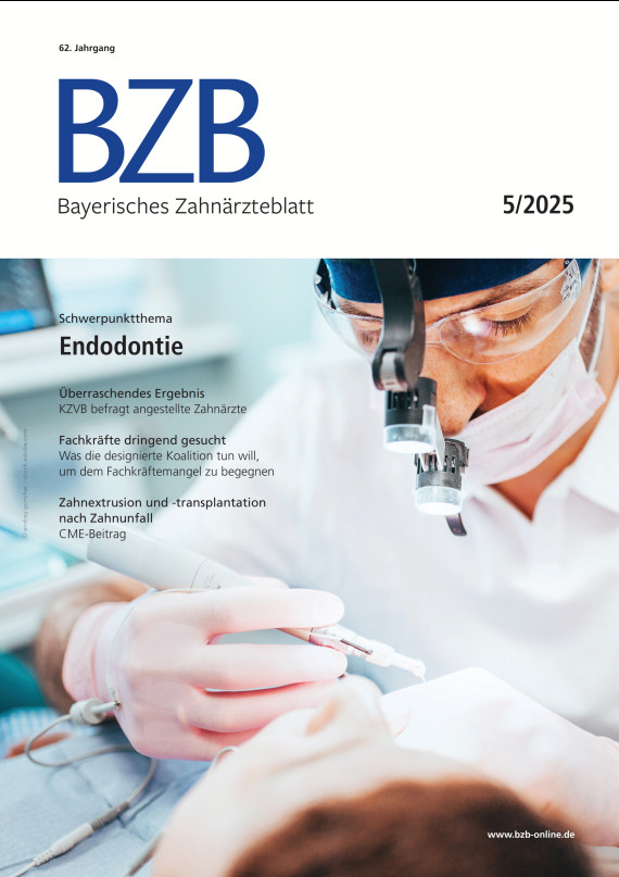 Cover Image for Issue