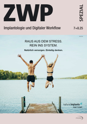 Cover Image for Issue