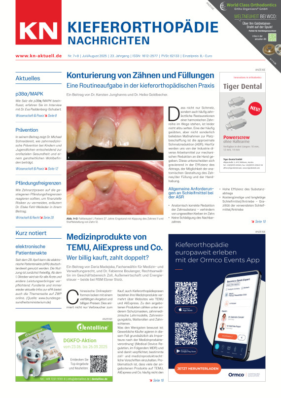 Cover Image for Issue