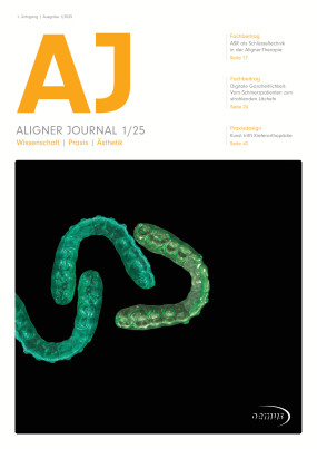 Cover Image for Issue