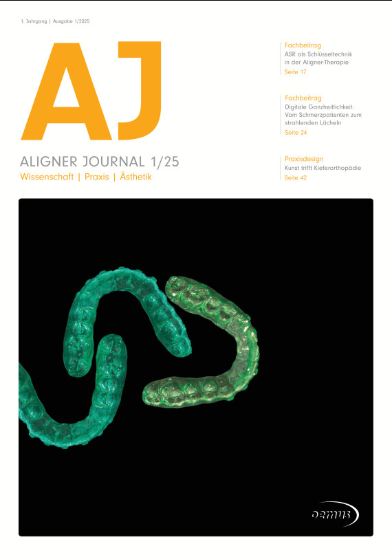Cover Image for Issue