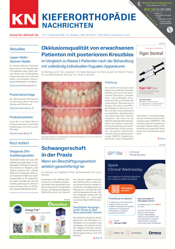 Cover Image for Issue