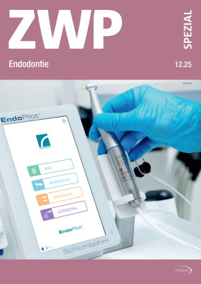 Cover Image for Issue