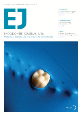 Cover Image for Issue