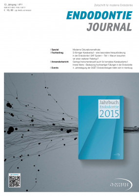 Cover Image for Issue